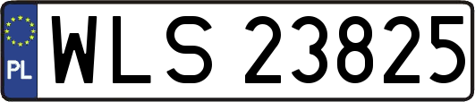 WLS23825