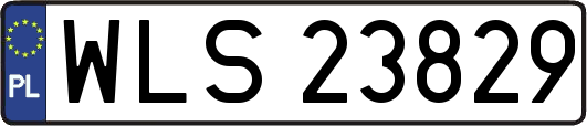 WLS23829
