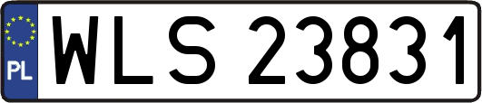 WLS23831