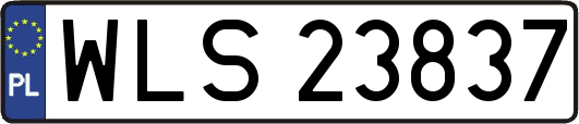 WLS23837