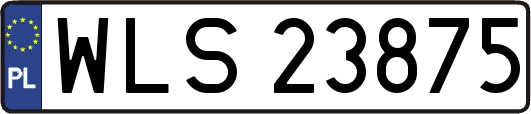 WLS23875