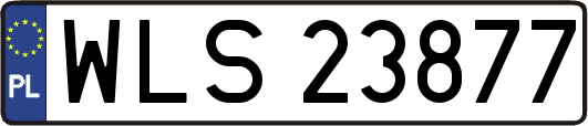 WLS23877