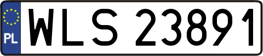 WLS23891