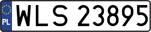 WLS23895