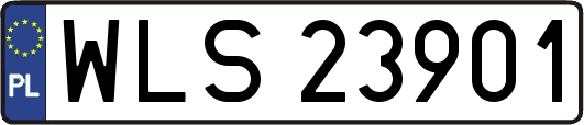 WLS23901