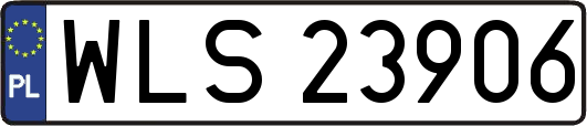 WLS23906