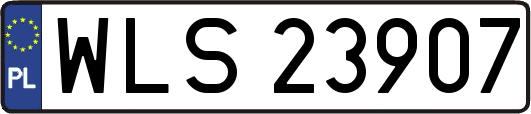 WLS23907