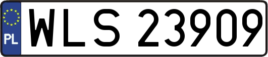 WLS23909