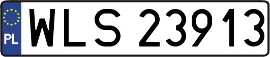 WLS23913