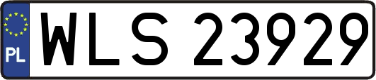 WLS23929