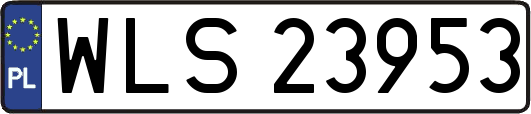 WLS23953