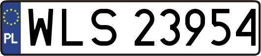 WLS23954
