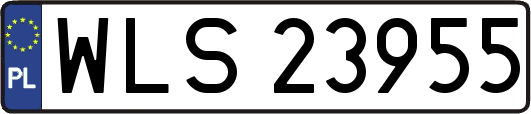 WLS23955