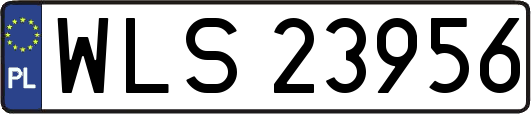 WLS23956