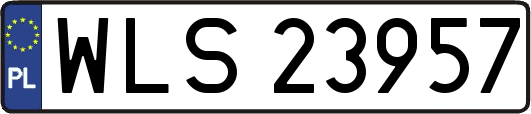 WLS23957