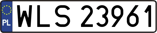 WLS23961