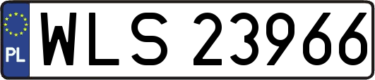 WLS23966