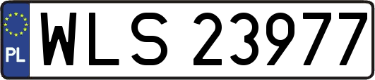 WLS23977