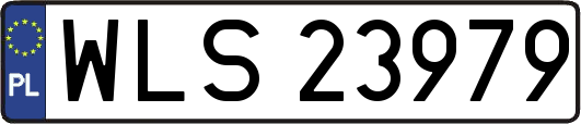 WLS23979