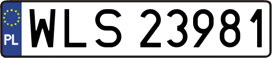 WLS23981