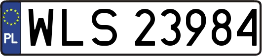 WLS23984