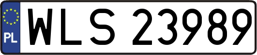 WLS23989