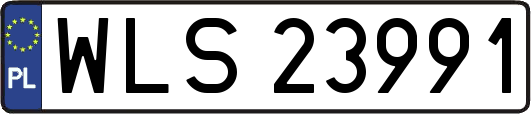 WLS23991