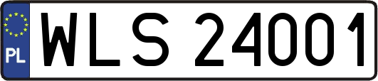 WLS24001