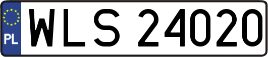 WLS24020