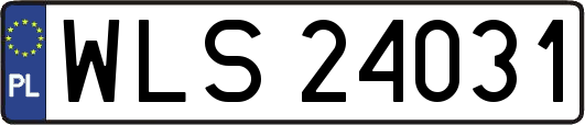 WLS24031