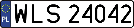 WLS24042