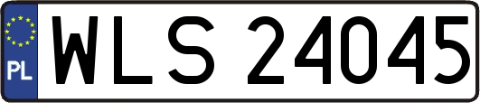 WLS24045