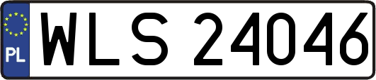 WLS24046