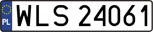WLS24061