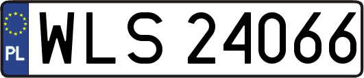 WLS24066