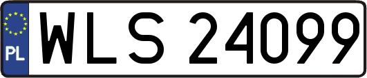 WLS24099