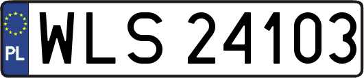 WLS24103