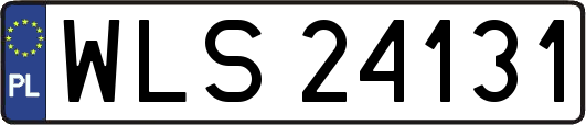 WLS24131