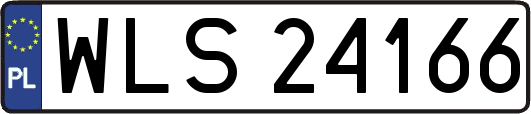 WLS24166