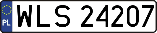 WLS24207
