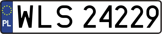 WLS24229