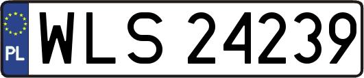 WLS24239