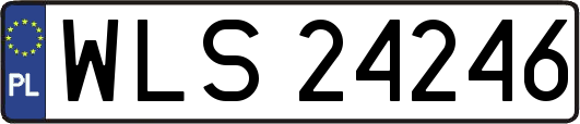 WLS24246