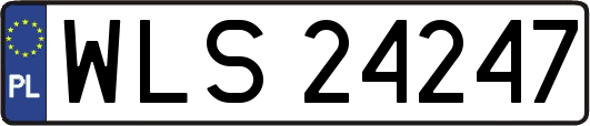 WLS24247