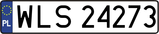 WLS24273