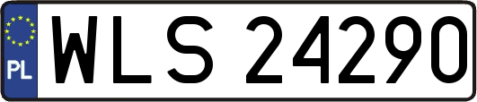 WLS24290