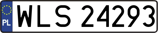 WLS24293