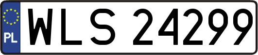 WLS24299