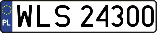 WLS24300