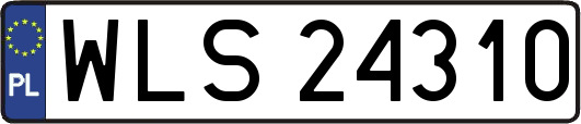 WLS24310